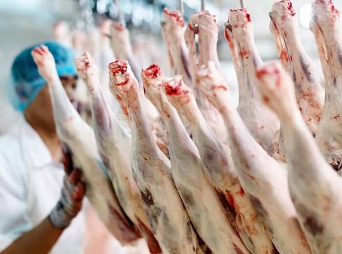 HALAL SLAUGHTER PROGRAM